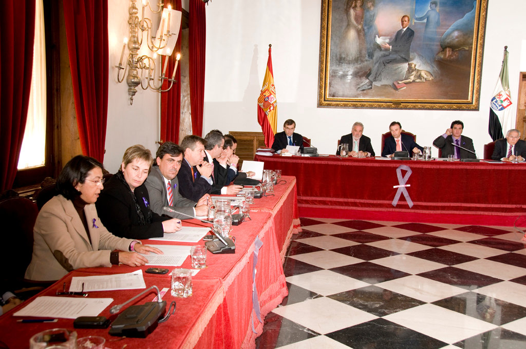 Retrato de Juan Carlos I en el salón de plenos de la Diputación de Cáceres.